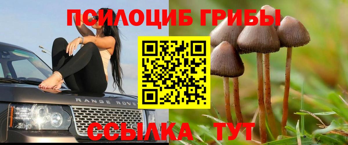 Кумертау  Псилоцибиновые грибы прущие грибы  Вход с VPN  Псилоцибиновые грибы мицелий 